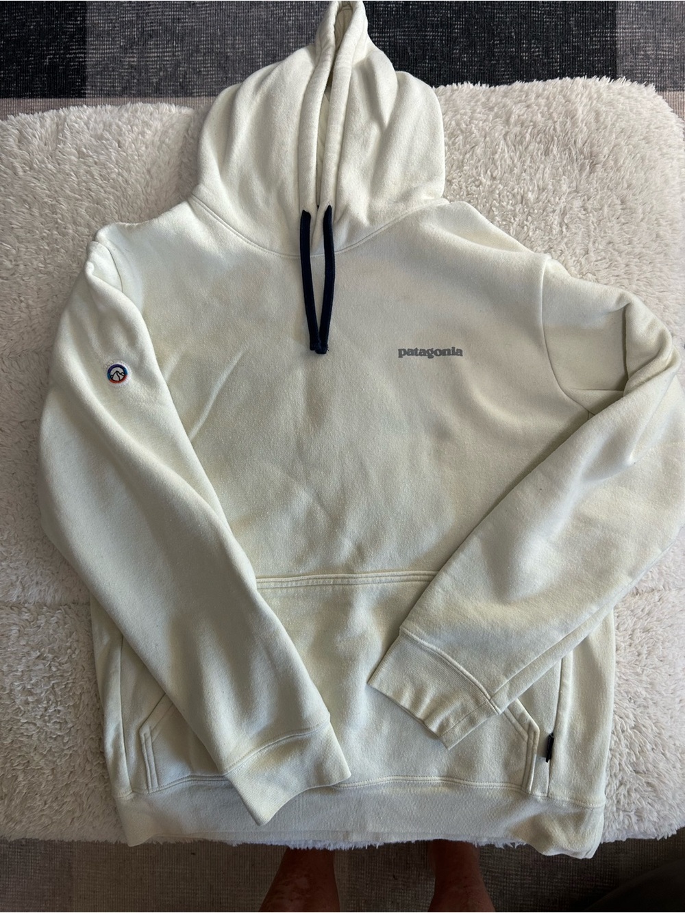Patagonia Men’s Cream Pullover Hoodie